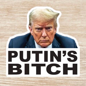 Trump “Putin’s Bitch” Sticker sheet, Die Cut Waterproof vinyl decals - 37 Stickers