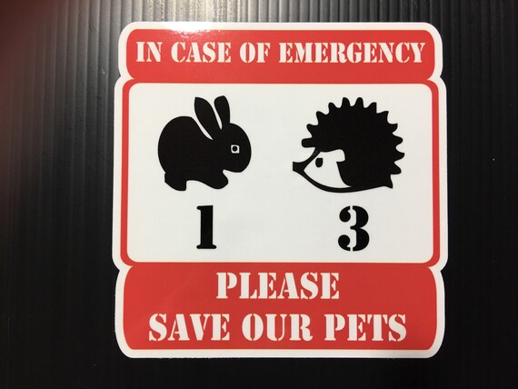 Biden Kiss My A Pegatinas De Parachoques Pro Trump 'Hey Joe Biden Kiss My A$$' – Lote De 5 Unidades, 9 Pulgadas Ancho, Colores USA Pegatina Parachoques Pro Trump