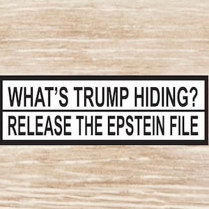 What’s Trump Hiding? Release Epstein File Sticker sheet, vinyl decals - 10 Stickers