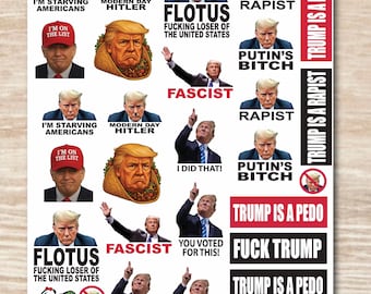 Anti-Trump Variety Sticker sheet, die cut waterproof vinyl decals - 28 Stickers
