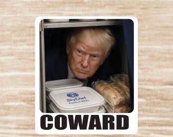 Trump Coward Sticker sheet, die cut waterproof vinyl decals - 36 Stickers