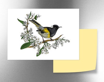 New Zealand Hihi & Kohekohe flowers illustrated fridge magnet