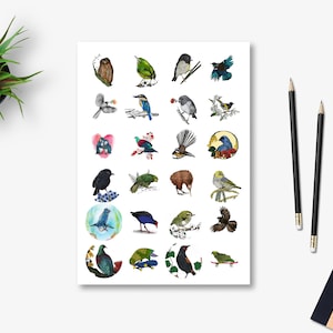 New Zealand Native Birds Sticker Sheet | A4 Illustrated Wildlife Stickers | NZ Bird Art by Local Artist