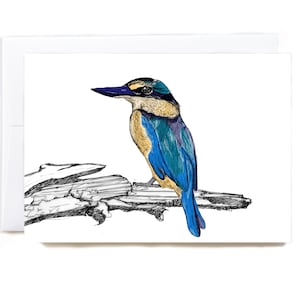 Cartão de felicitações ilustrado com o martim-pescador nativo da Nova Zelândia, Kotare