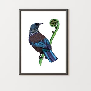 Tūī & Koru Art Print | NZ Native Bird Illustration | Giclée Wall Art | New Zealand Nature Art | Tui Print by Local Artist
