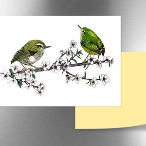 New Zealand Titipounamu (Rifleman) fridge magnet
