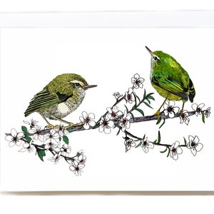 Tarjeta de felicitación ilustrada de Titipounamu (fusilero) y Manuka