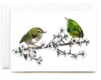 Titipounamu (Rifleman) and Manuka illustrated greeting card