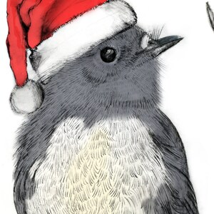 New Zealand Robin Christmas Card image 3