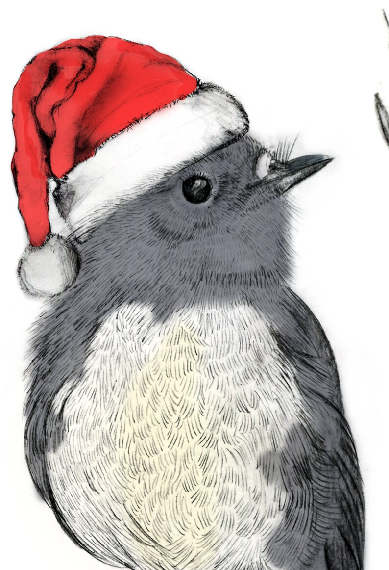 New Zealand Robin Christmas Card image 3