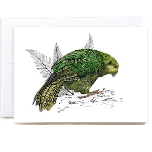 NZ Kakapo Grußkarte