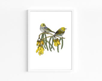 Impresión giclée de Tauhou (Ojo de Plata) / Arte botánico de aves nativas de Nueva Zelanda