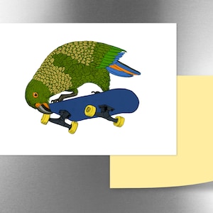 New Zealand Kea Tweak Magnet