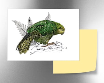 New Zealand illustrated Kākāpo fridge magnet