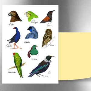 Native New Zealand Birds 2 illustrated fridge magnet