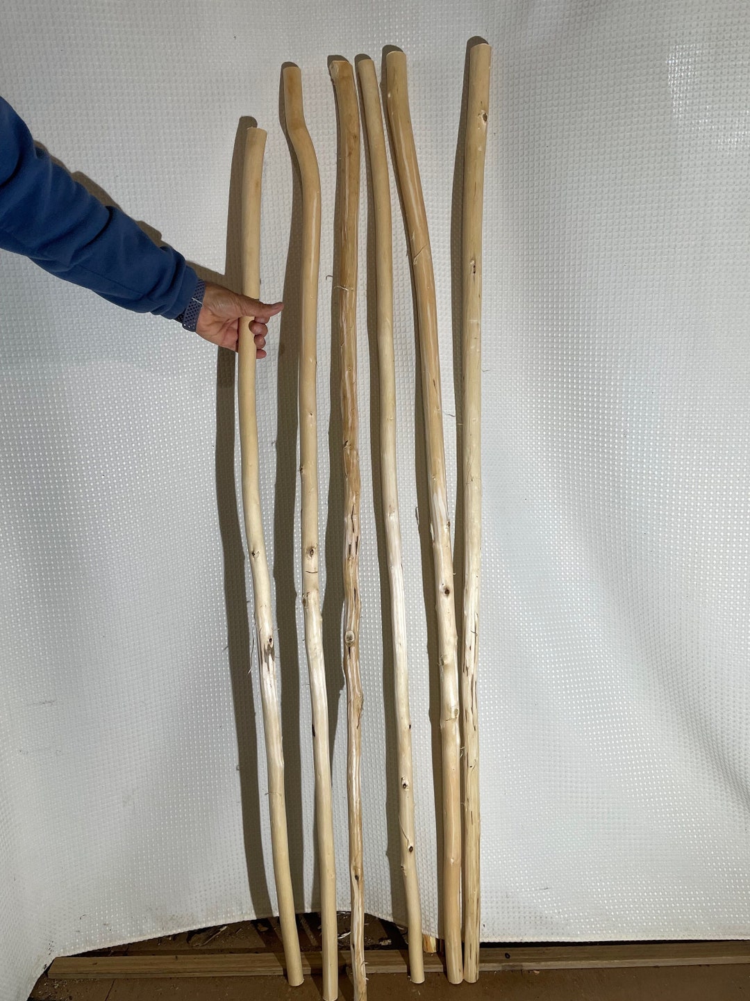 Six 55 to 60 Aspen Hiking Stick Blanks 1558 Etsy