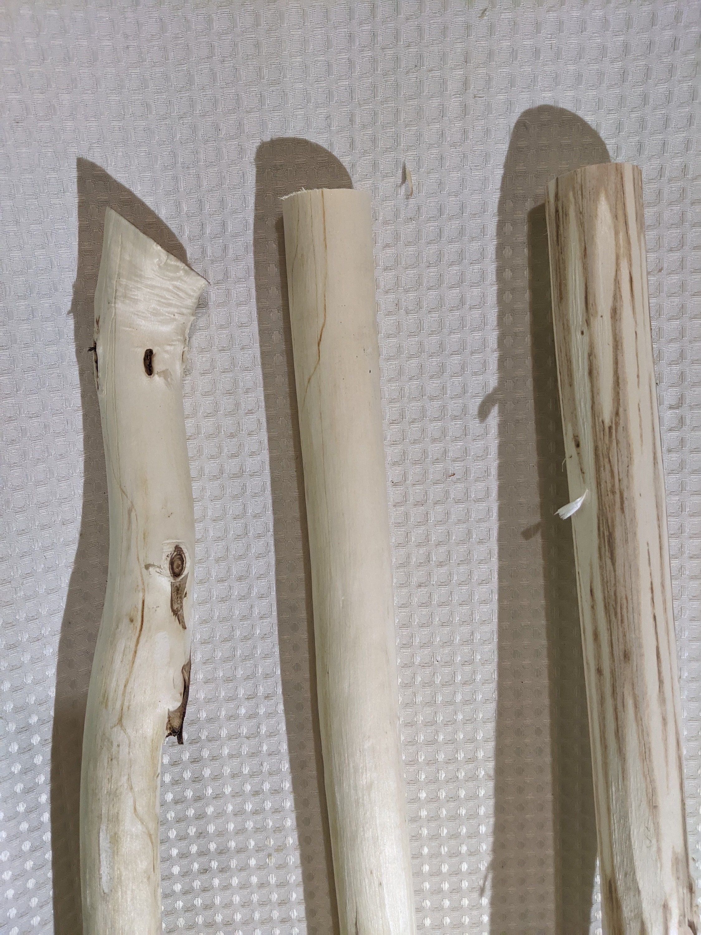 Three Sturdy 68 Aspen Hiking Stick Blanks 1349 Etsy