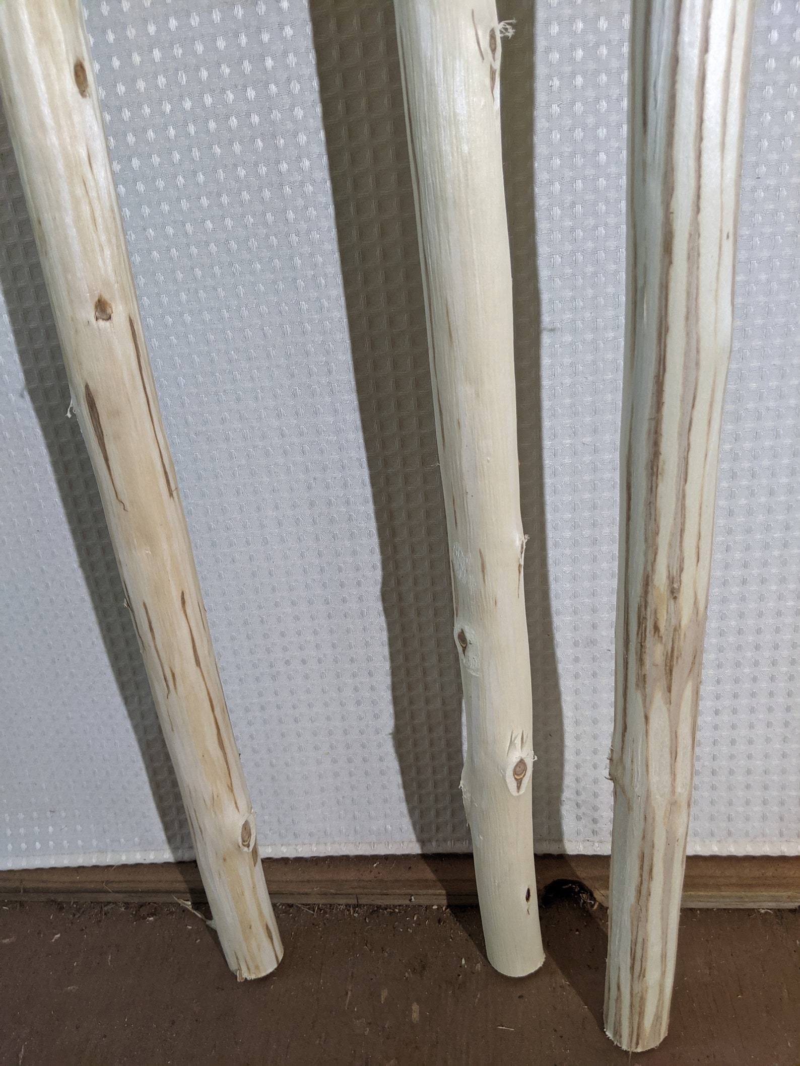 Three Sturdy 68 Aspen Hiking Stick Blanks 1349 Etsy