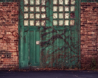 Tło cyfrowe | Rustykalne drzwi z winoroślą | Kompozyt Photoshop