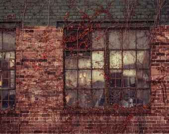 Tło cyfrowe | Rustykalne okna z winoroślą | Kompozycja Photoshop