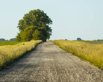 Tło cyfrowe | Drzewo obok kamienistej drogi | Kompozycja Photoshop