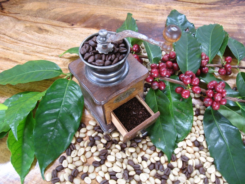 Sale Organic 100 Kona Coffee Whole Bean Etsy