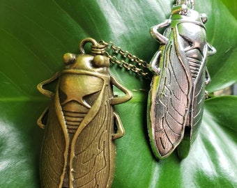 Cicada Necklace: Bronze or Silver Insect Jewelry