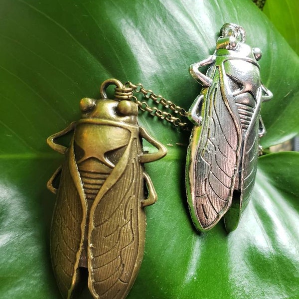 Cicada Necklace/Silver Cicada Necklace/Bronze Cicada Necklace/Ahhhhhhh... They're here/Screaming Intensifies/Brood/Cicada Jewelry