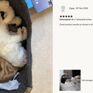 Felted wool storage basket in grey with two wrapped handles; cozy cat bed with a sleeping cat inside.