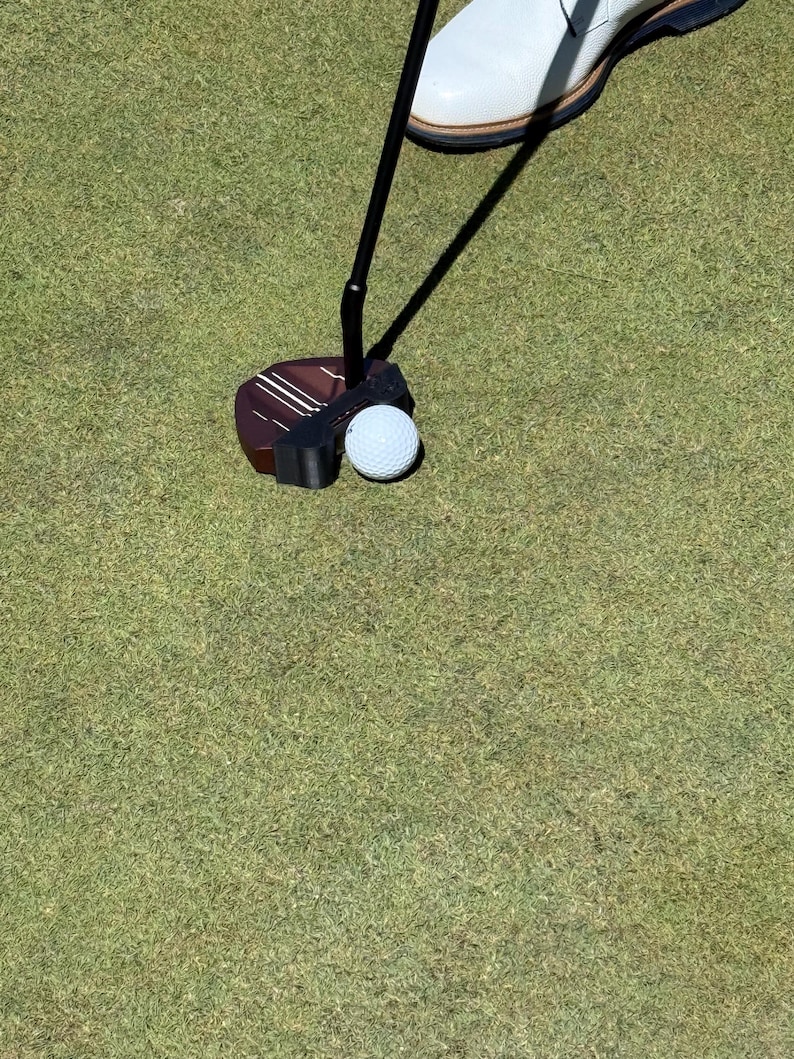 Puede incluir: Un putter de golf con una cabeza marr&oacute;n oscuro y un eje negro se coloca sobre una pelota de golf blanca en un campo verde. Un zapato de golf blanco es visible en el fondo, proyectando una sombra.