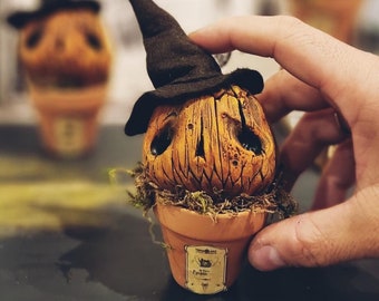 May include: A small, wooden pumpkin with a black witch hat sits in a terracotta pot with moss and a label that reads "The New England Emporium".