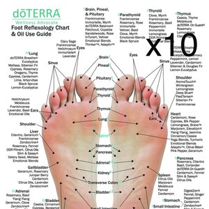 May include: A foot reflexology chart and oil use guide from doTERRA, with labeled areas for various body parts and essential oils. The chart includes text and diagrams for wellness advocacy.