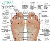 10 Pack - Reflexology Chart Essential Oil Use Guide (8.5 x 11 on 16pt card stock) 2-sided