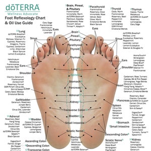 10 Pack MINI Reflexology Chart & Essential Oil Use Guide | Etsy