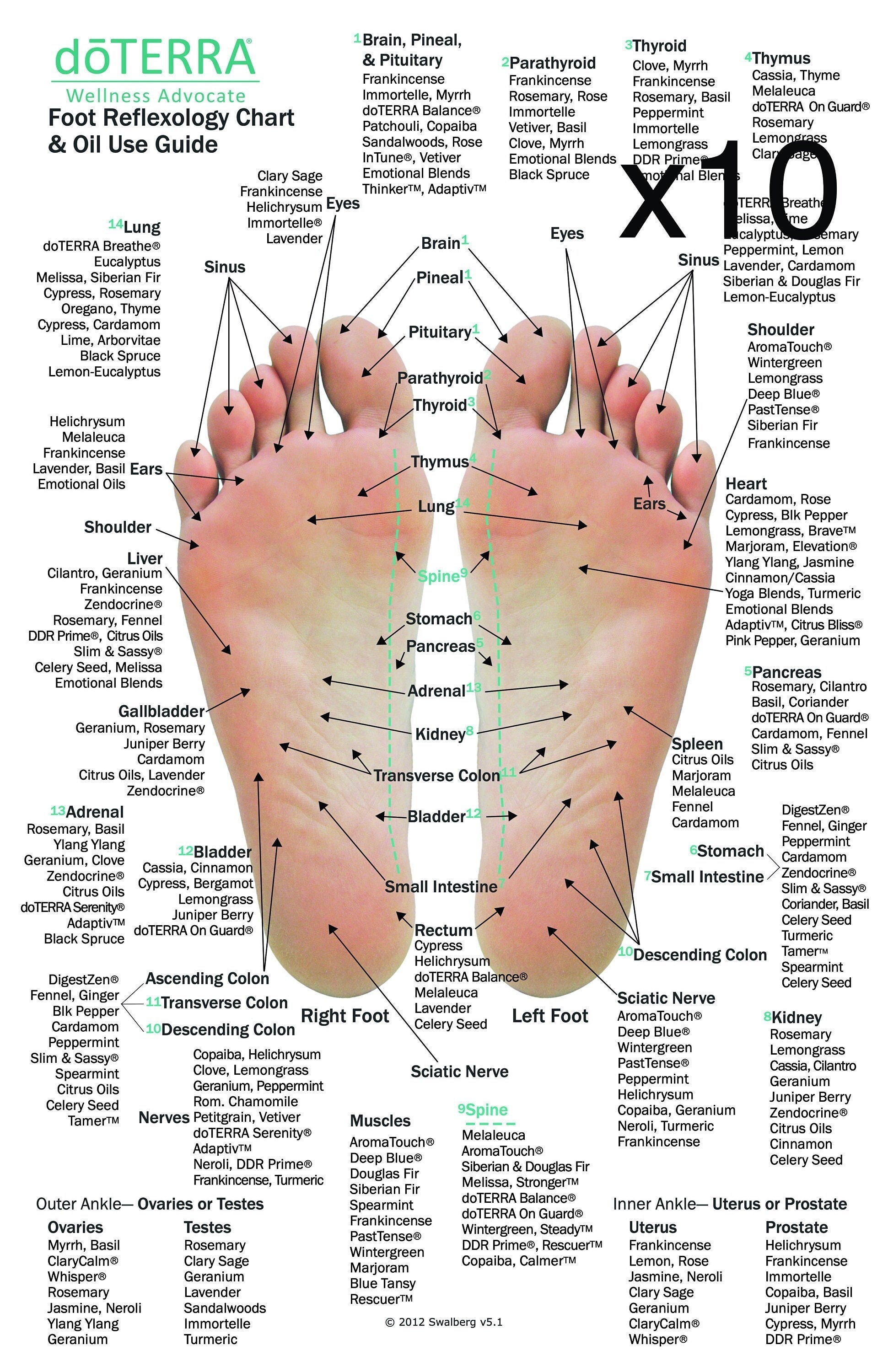 Melaleuca Credit Card Login Login Pages Info Melaleuca Credit Card Login Login Pages Info