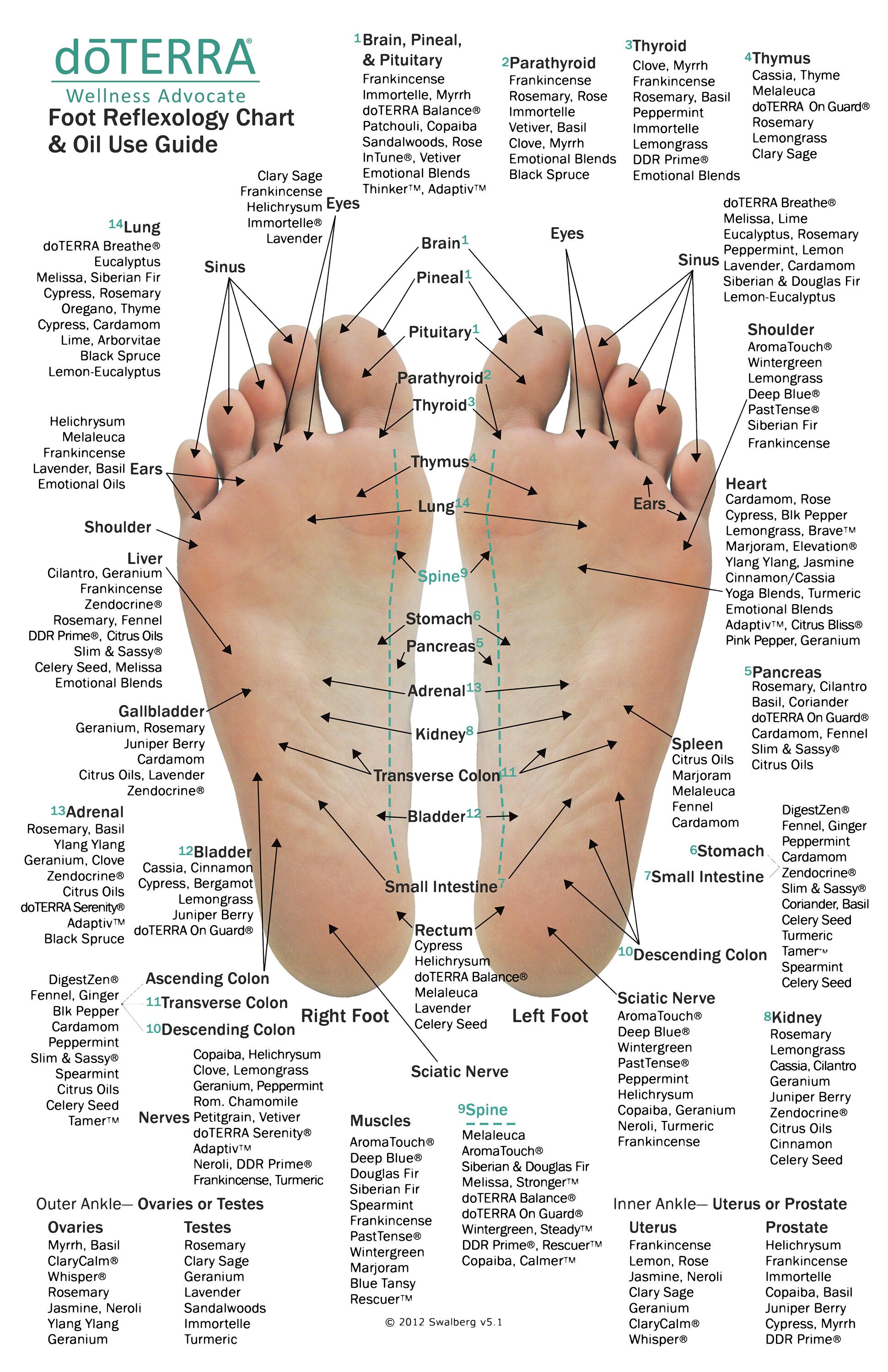 Foot diagram for essential oils