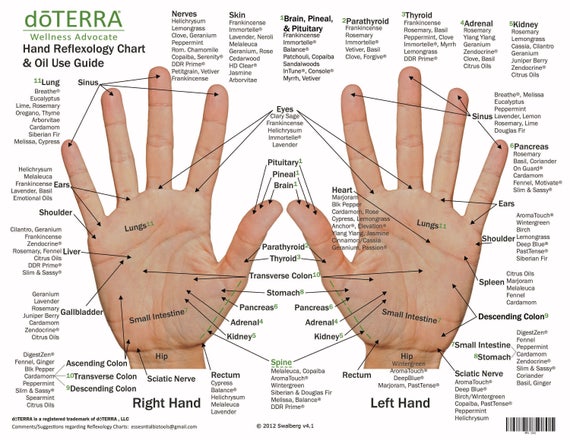 Foot Reflexology And Oil Usage Chart