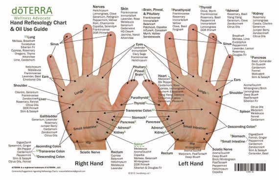 Essential Oil Reflexology Chart