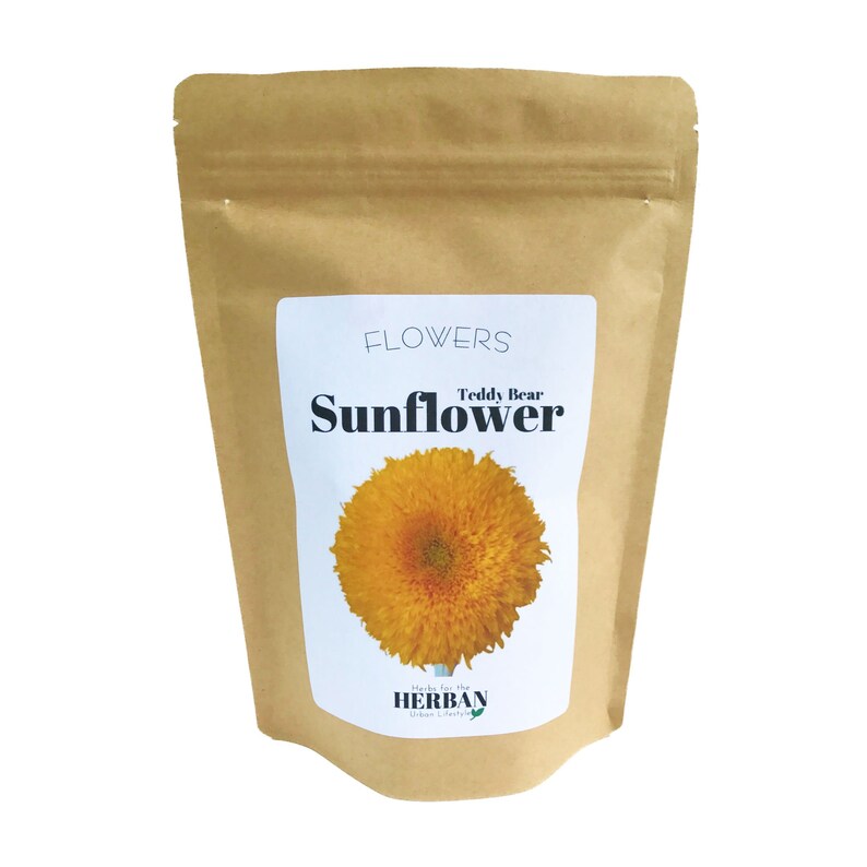 Sunflower Grow Kit Etsy