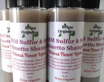 MSM Sulfur & Saw Palmetto Shampoo, Moisturizing Shampoo, Brina Organics