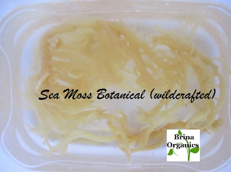 Brina Organics Sea Moss Hair Care Bundle for Afro-textured Hair, 3 Step Natural Hair Products, Herbal Growth image 6