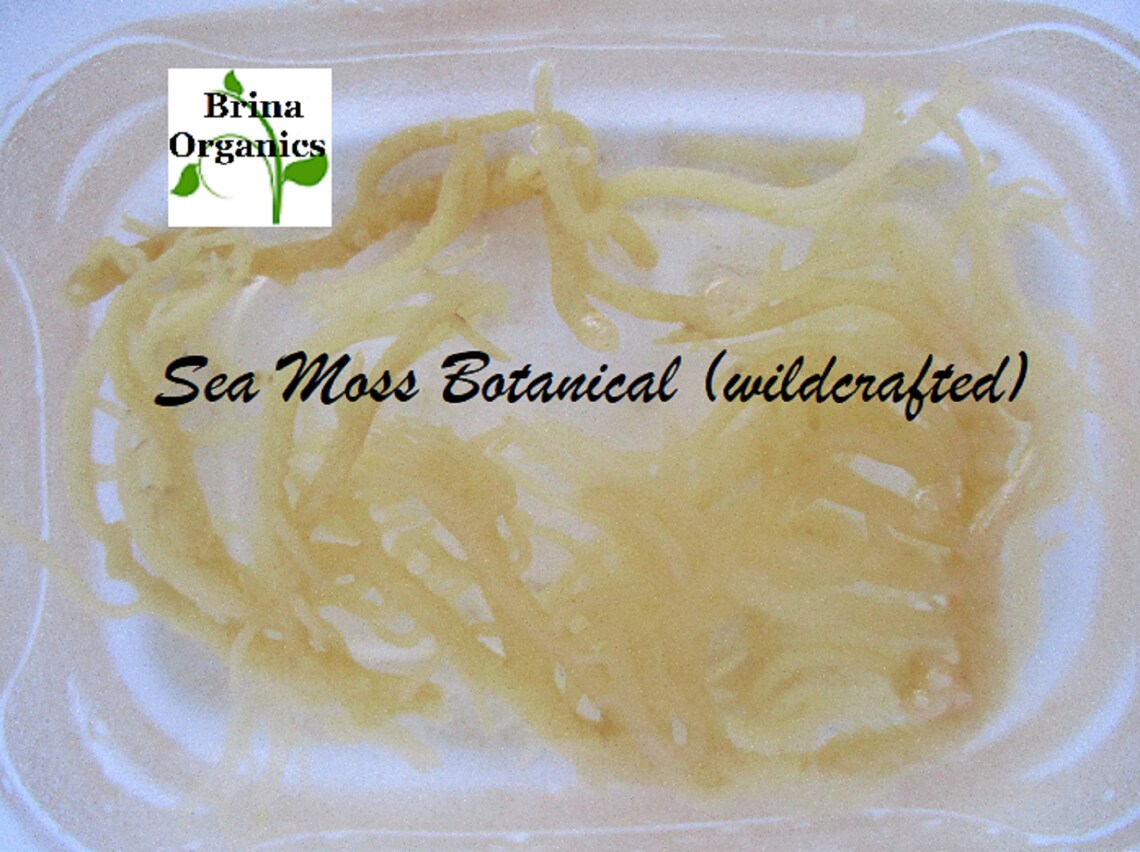 Speedy Hair Growth Tonic Spray 4 Oz. 26 Oz. Saw Palmetto Etsy