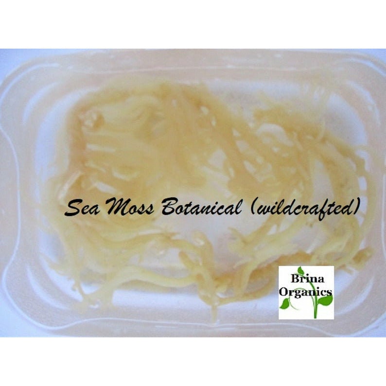 May include: A clear plastic container holds a mass of light yellow sea moss. The text "Sea Moss Botanical (wildcrafted)" is written in black cursive. A small logo for Brina Organics is in the bottom right corner.