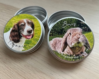 memorial pet tin, pet memory tin, pet ashes urn, pet keepsake, personalised photo keepsake, pet fur cat memorial, Guinea pig, rabbit, horse