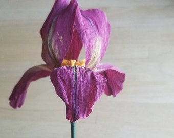 Carta Crespa Iris Etsy