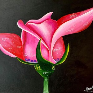 May include: A pink rose bud with green leaves and a black background. The rose bud is painted with white and purple circles and the words "Albumin" and chemical formulas.