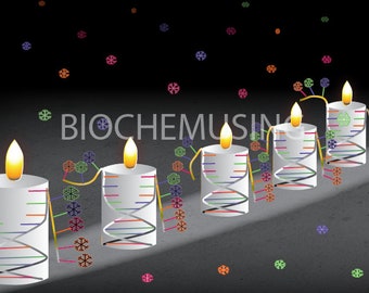 PCR/Candles in Snow