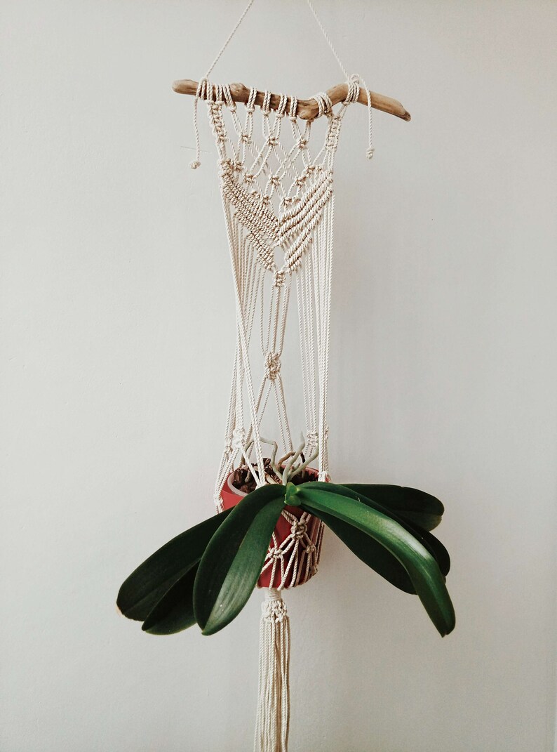 Macrame Plant Hanger on Driftwood Macrame Plant Holder Etsy