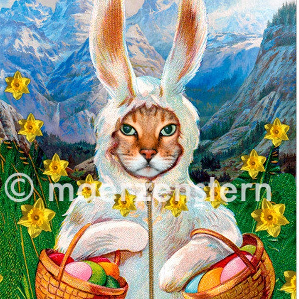 Postkarte "Hier kommt der Eiermann" (24), Osterkarte,Ostergruss,für Kinder,Osterhase,Katze,Osterglocken,Narzissen,Frohe Ostern