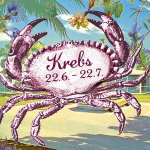 Wee Blue Coo Krebs Sternzeichen Geburtstagskarte – 17,5 X 12,5 Cm, Mit Umschlag, Nachhaltig Gedruckt